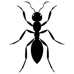 Ant Silhouette  vector illustration