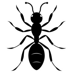 Ant Silhouette  vector illustration