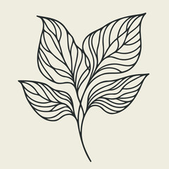 Illustrator Artwork Hand Drawn Vintage Sketch Drawing, green leaves Line Art, Plants Collection branches Floral elements, set of Botanical Illustration Outline leaf, branch Black And White leaves