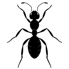 Ant Silhouette  vector illustration