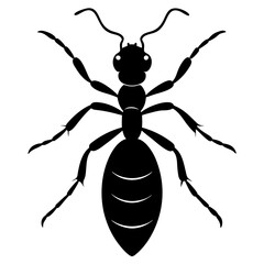 Ant Silhouette  vector illustration