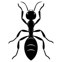 Ant Silhouette  vector illustration