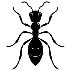Ant Silhouette  vector illustration