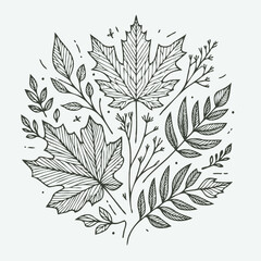 Illustrator Artwork Hand Drawn Vintage Sketch Drawing, green leaves Line Art, Plants Collection branches Floral elements, set of Botanical Illustration Outline leaf, branch Black And White leaves