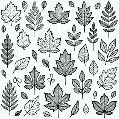 Illustrator Artwork Hand Drawn Vintage Sketch Drawing, green leaves Line Art, Plants Collection branches Floral elements, set of Botanical Illustration Outline leaf, branch Black And White leaves