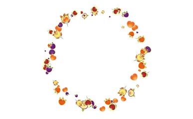 橘のフレーム　③