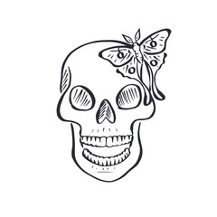 Hand drawn black and white sketchy floral human skull isolated on white background. Doodle skeleton head with rose flower and luna moth tattoo design.