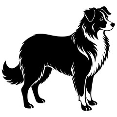 Australian Shepherd Silhouette  vector illustration