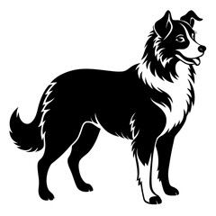 Australian Shepherd Silhouette  vector illustration