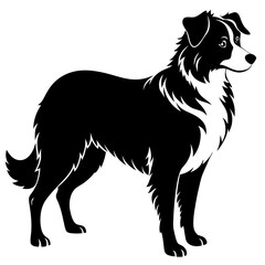 Australian Shepherd Silhouette  vector illustration