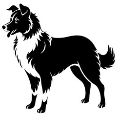 Australian Shepherd Silhouette  vector illustration