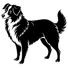 Australian Shepherd Silhouette  vector illustration