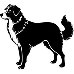 Australian Shepherd Silhouette  vector illustration