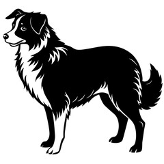 Australian Shepherd Silhouette  vector illustration