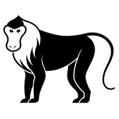 Baboon Silhouette  vector illustration