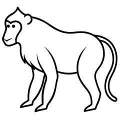 Baboon Silhouette  vector illustration
