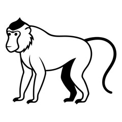 Baboon Silhouette  vector illustration