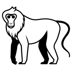 Baboon Silhouette  vector illustration