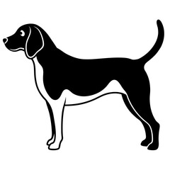 Beagle Silhouette  vector illustration