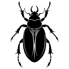 Beetle Silhouette  vector illustration