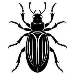 Beetle Silhouette  vector illustration