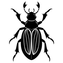 Beetle Silhouette  vector illustration