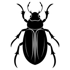 Beetle Silhouette  vector illustration