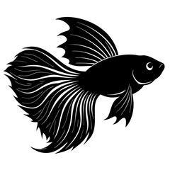 Betta Fish Silhouette  vector illustration
