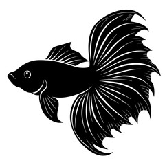 Betta Fish Silhouette  vector illustration