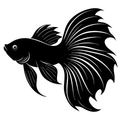Betta Fish Silhouette  vector illustration