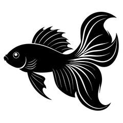 Betta Fish Silhouette  vector illustration