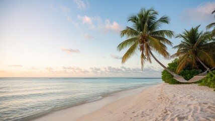 Fototapeta premium Luxurious tropical landscape. White sand with palm trees and azure sea. A heavenly place to relax. Beautiful exotic summer beach background for design.