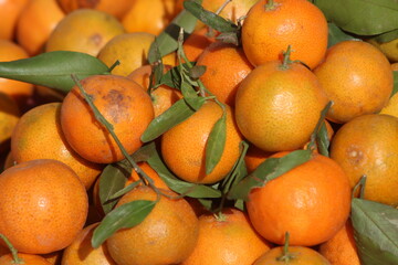 Fresh Oranges with green leaves