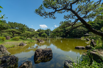 青空と緑が映える日本庭園