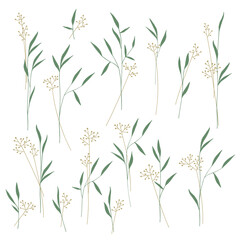 A collection of abstract plant objects,