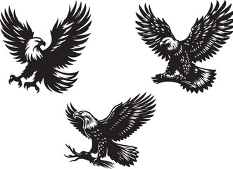 eagle with wings and eagle set silhouette of vector