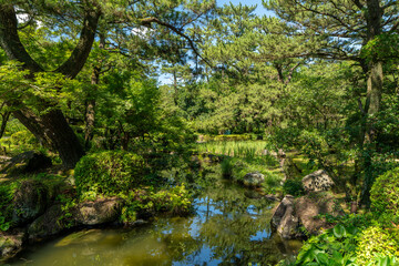 青空と緑が映える日本庭園
