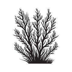 algae Silhouette Vector Illustration, Solid White Background.