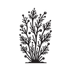 algae Silhouette Vector Illustration, Solid White Background.