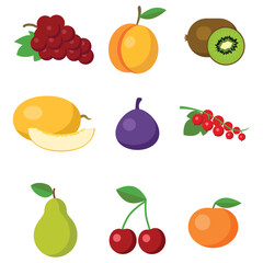 Collection of fruits vector icon. Colorful icon sheet.
