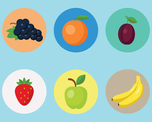 Collection of fruits vector icon. Colorful icon sheet.