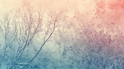 Winter trees in a frosty landscape with soft gradient colors and ample copy space for text or overlay designs.