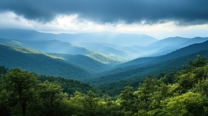 Fototapeta premium Majestic mountain landscape bathed in soft light after rainfall showcasing lush greenery and atmospheric depth