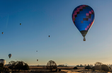 渡良瀬熱気球レース