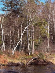 Kirchsee bei Sachsenkam