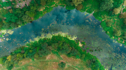 aerial nature view country land landscape foreshortening from above with water river green trees country side