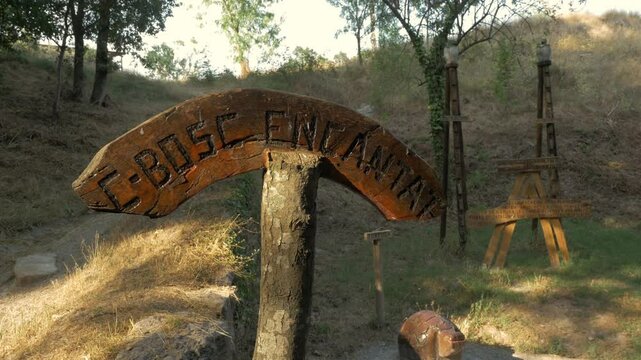 Forest wood art in the mountain