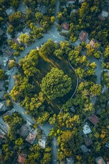 An aerial view of an urban park with trees and houses, featuring a large tree in the center surrounded by residential areas. 