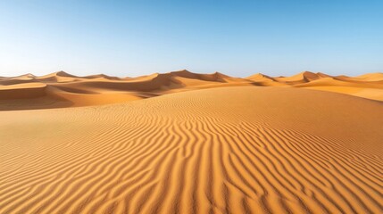 Serene Sahara:  Vast Dunes Under a Clear Blue Sky