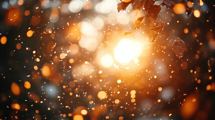 Obraz premium Golden Autumn Sunlight and Bokeh